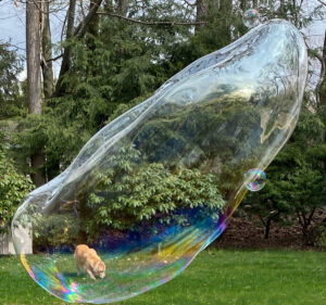 bubble entertainment